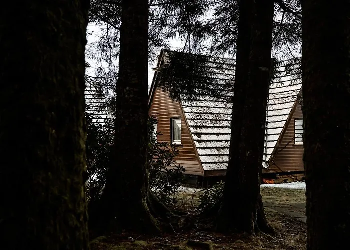 The Triangle Lodge